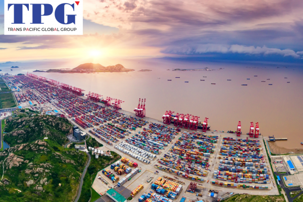 Exporting Rice Bran to China: Expanding Market Opportunities for Vietnam’s Rice By-product Industry.