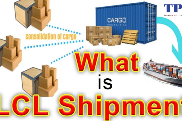 Những điều bạn cần biết khi vận chuyển hàng lẻ Container (LCL)