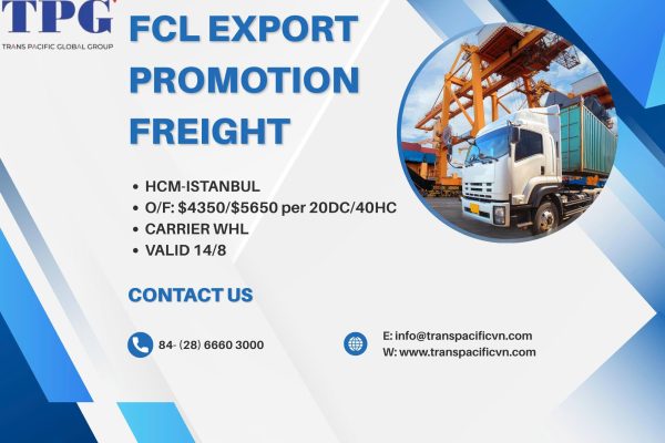 PROMOTION HOCHIMINH ( VIETNAM) TO ISTANBUL ( TURKEY)