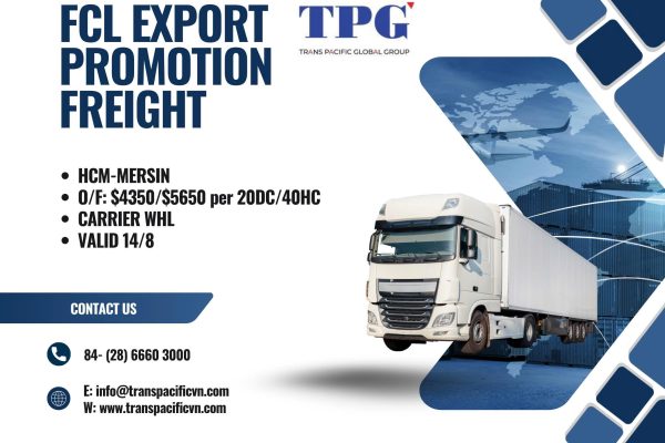 PROMOTION HOCHIMINH ( VIETNAM) TO MERSIN ( TURKEY)